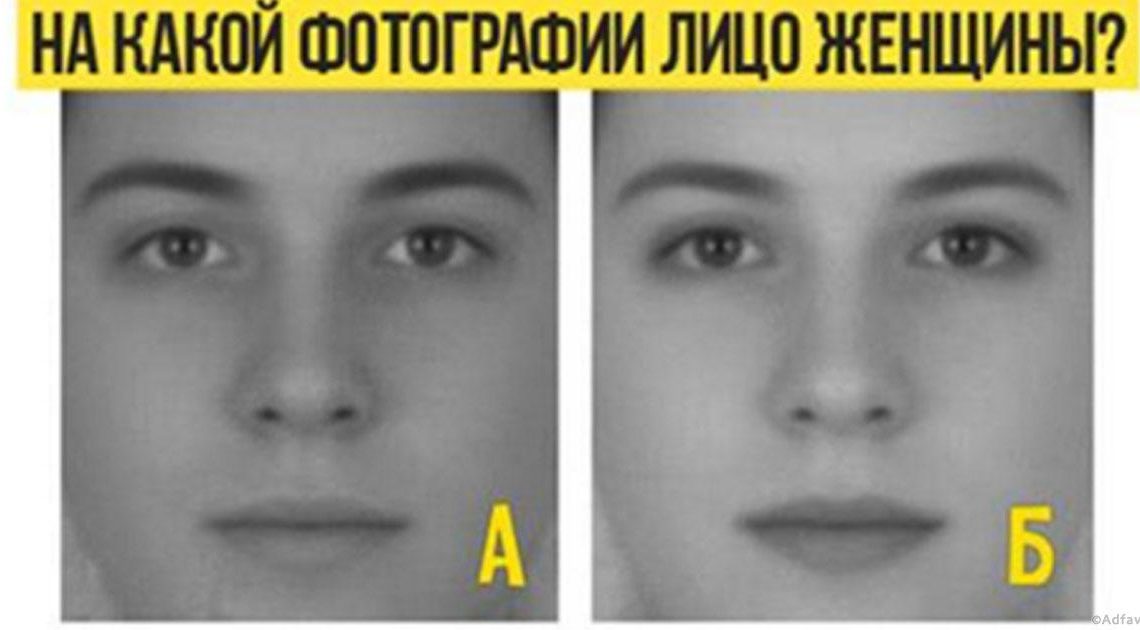 Тест: насколько вы сообразительны? Тест: насколько вы сообразительны?