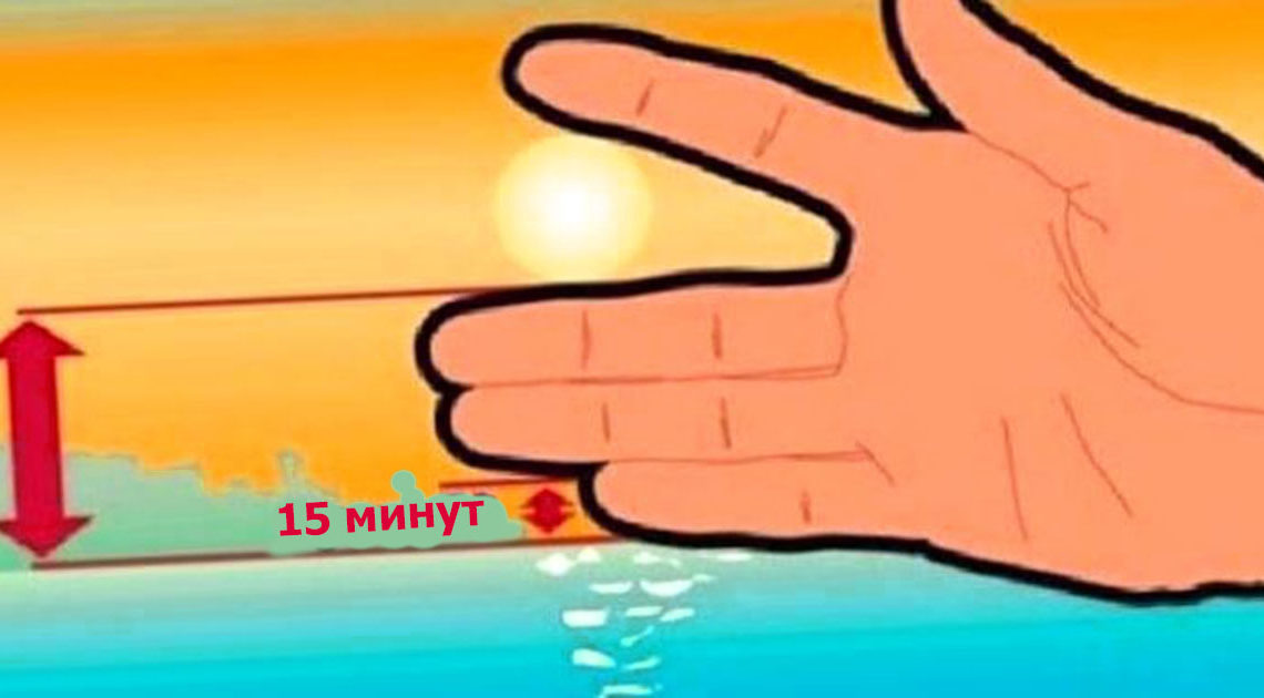 6 самых полезных школьных шпаргалок на каждый день 6 самых полезных школьных шпаргалок на каждый день